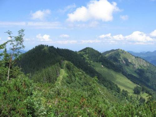Landgasthof Kirchenwirt Grossraming Экстерьер фото
